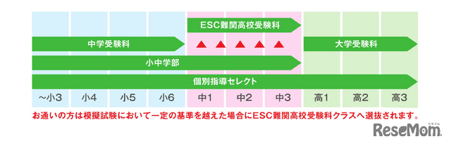 臨海セミナーの小中高一貫教育