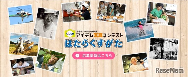 写真の構図／光でどう変わる？　写真撮影大研究