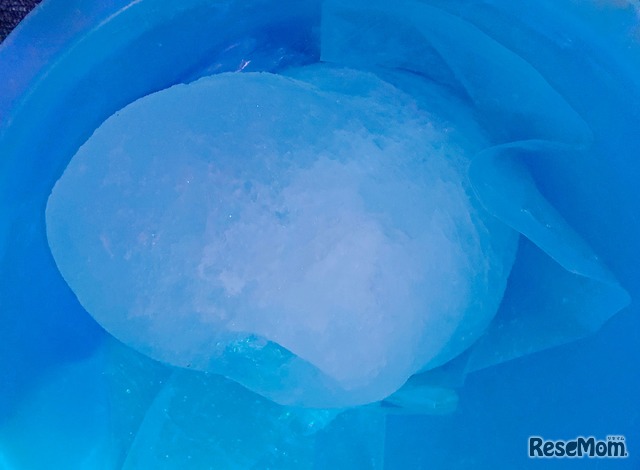 北海道から到着、流氷展示