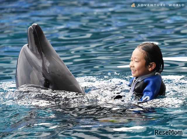 「Swimming with Dolphin～Deep emotion～」のようす