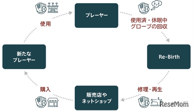 野球グローブの循環が生み出す未来「サーキュラーエコノミー」