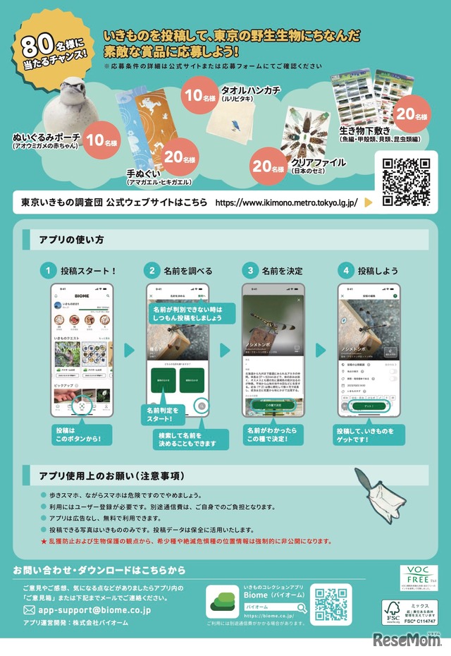 東京いきもの調査団 2025夏編 チラシ