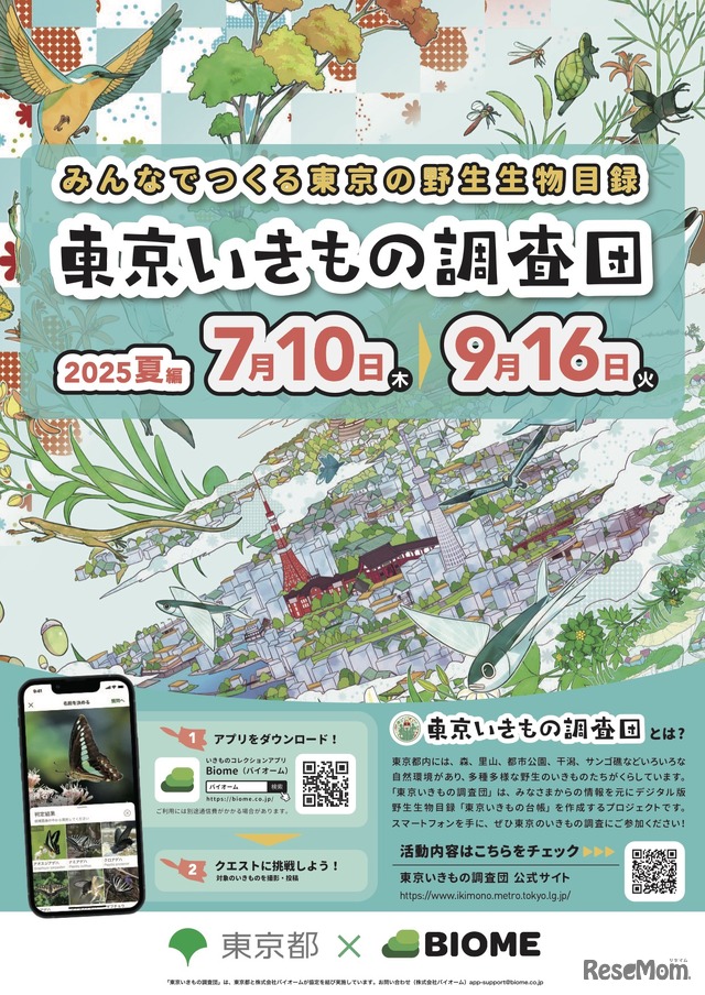 東京いきもの調査団 2025夏編 チラシ
