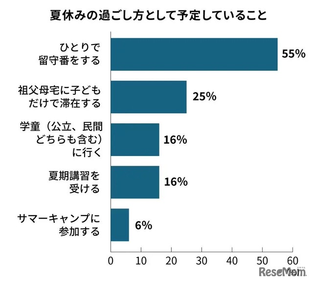 小学生の夏休みの過ごし方として予定していること