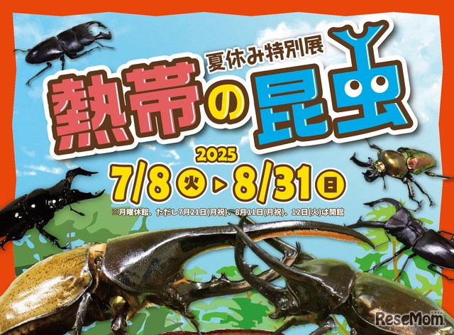 夏休み特別展「熱帯の昆虫2025」