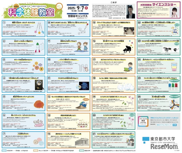 プログラム概要