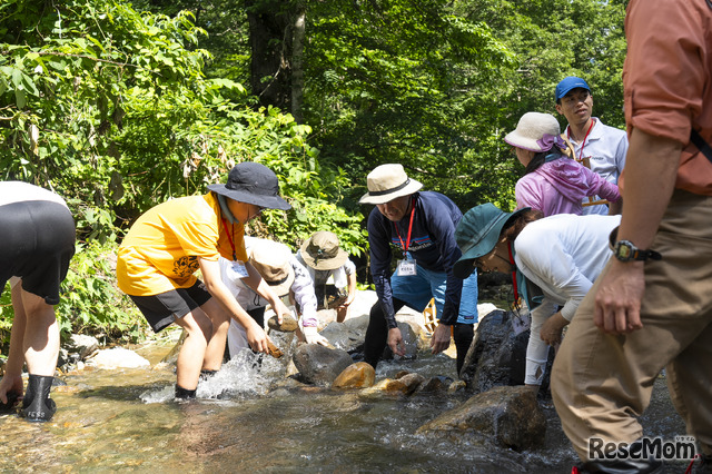 地道に石を集めて積みながら、水の流れをつくる