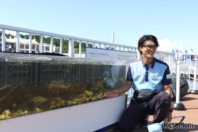 ガイドツアー「東京湾ワンダーウォッチャーズ」