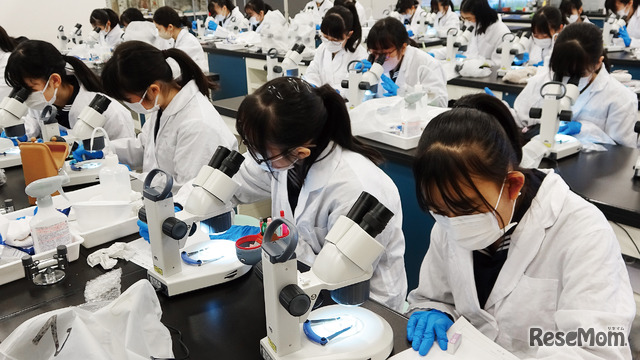 「リケジョ」の言葉誕生のずっと以前から、理系進学者が伝統的に多いのも特徴のひとつ