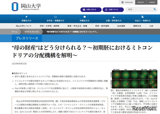 岡山大学「初期胚におけるミトコンドリアの分配機構を解明」