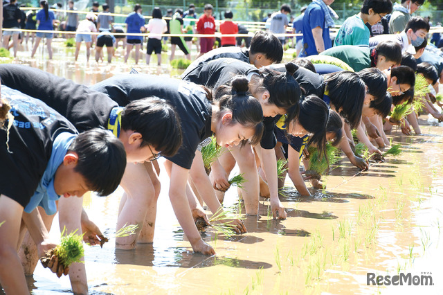 水田学習