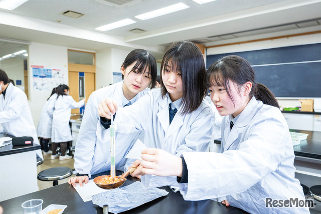 理数教育のようす