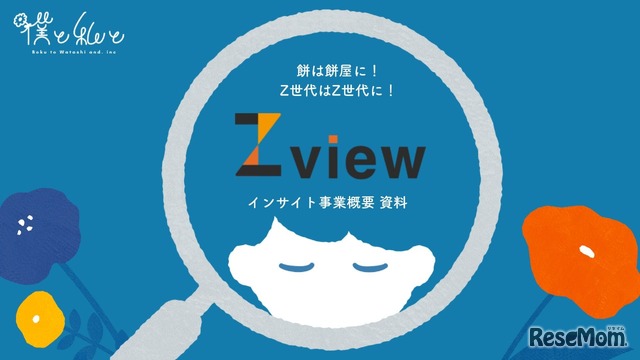Zview lab.