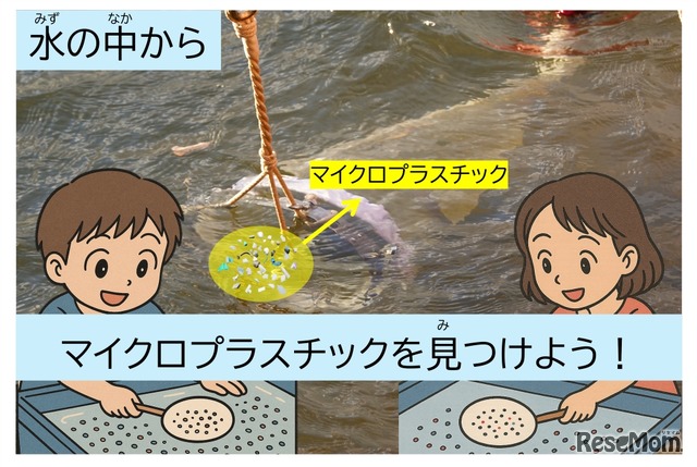 水槽から網でマイクロプラを採取～材質判定まで「水の中からマイクロプラスチックを見つけよう！」