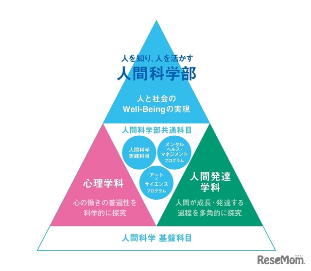 新学部を象徴する共通科目・プログラムの新設