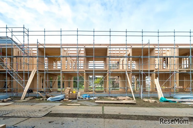 DLT木造仮設住宅：坂茂建築設計