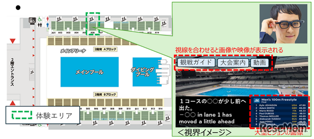 水泳・東京アクアティクスセンター