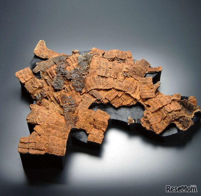 甲小札（端谷城跡、神戸市提供）