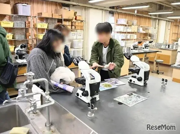 2024年のようす（野田地区）