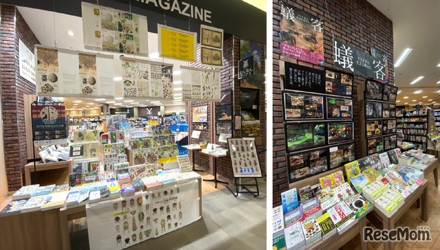 未来屋書店 北戸田店 2025年12月5日リニューアルオープン