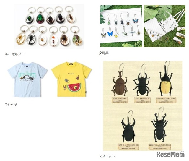 みらいや昆虫館inみらいやの森