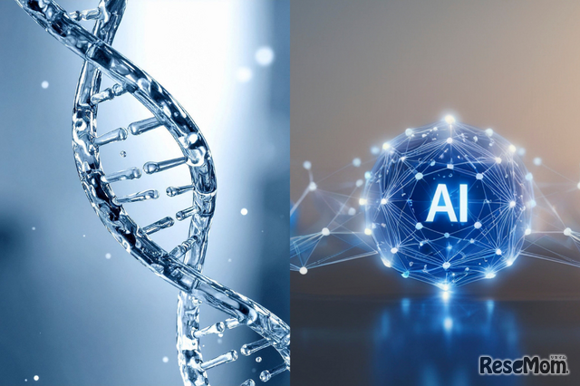 【医学部受験】小論文の対策が合否を分ける！合格へと導く 