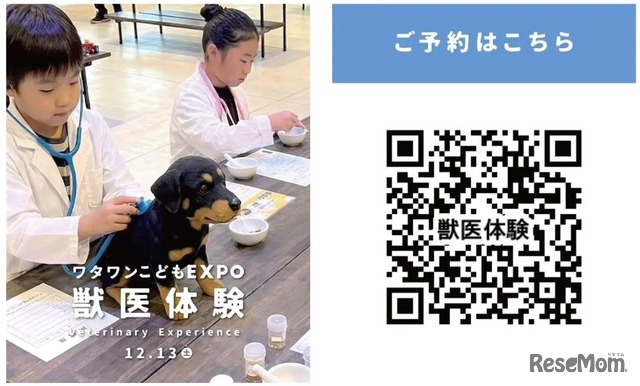 獣医さん体験（4回実施、各回5名限定・先着制）