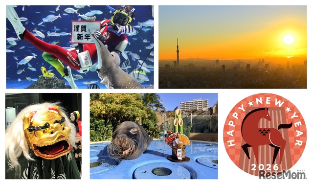 サンシャインシティのお正月限定イベント