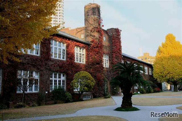 未来は自分で創る。「キャリアの立教」が徹底伴走する“自分らしい進路”