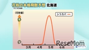 2026年花粉飛散予想・北海道