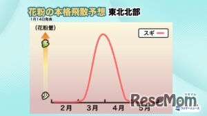 2026年花粉飛散予想・東北北部