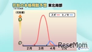 2026年花粉飛散予想・東北南部