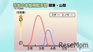 2026年花粉飛散予想・関東、山梨