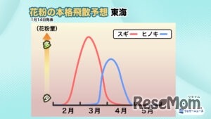 2026年花粉飛散予想・東海