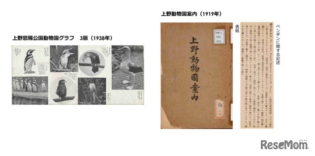 企画展示「TOKYO PENGUIN LIBRARY」東京×ペンギン コーナー