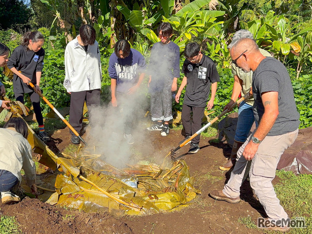 伝統的な地中蒸し料理をするようす
