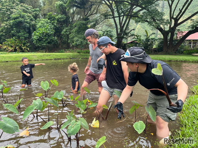 ネイチャー・エクスプローラー