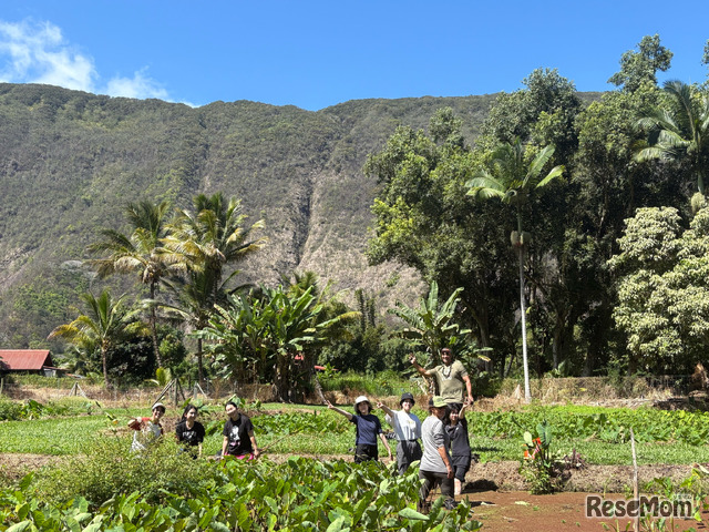 SOSHI Aloha Camp 敷地内