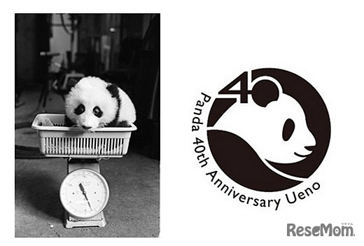 上野動物園「パンダの日 トーク＆クイズ」