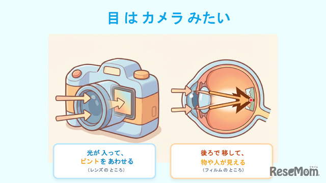 当日のスライド資料「目はカメラみたい」