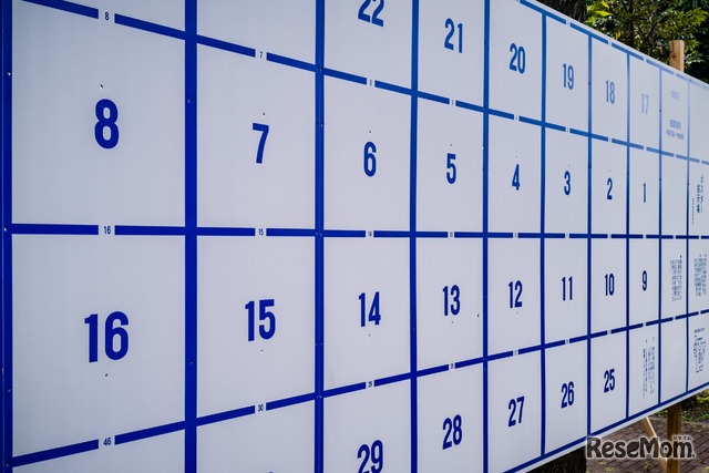 ※画像はイメージです