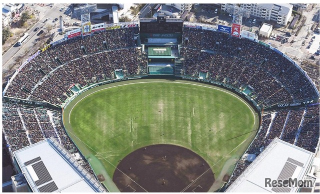 第98回選抜高等学校野球大会