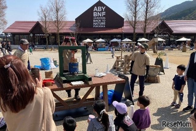 森の手仕事「椿油しぼり」