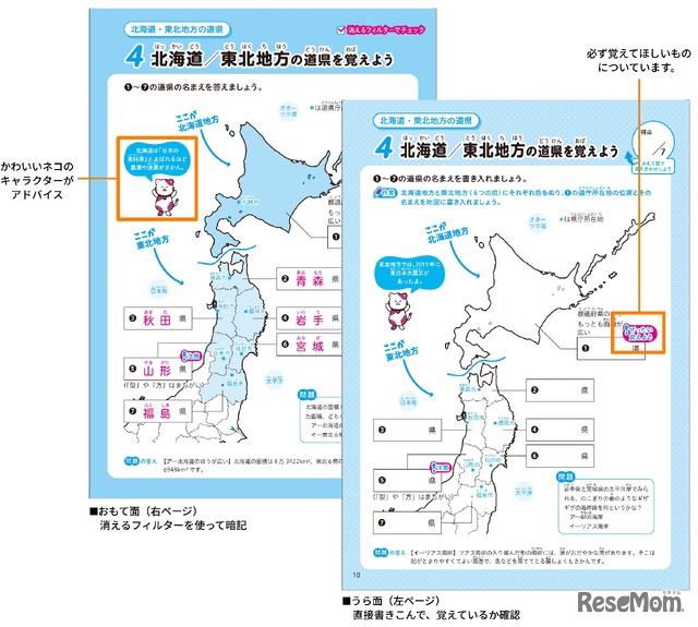 うら面、色のぬり分けなどの課題もあり楽しく学べる