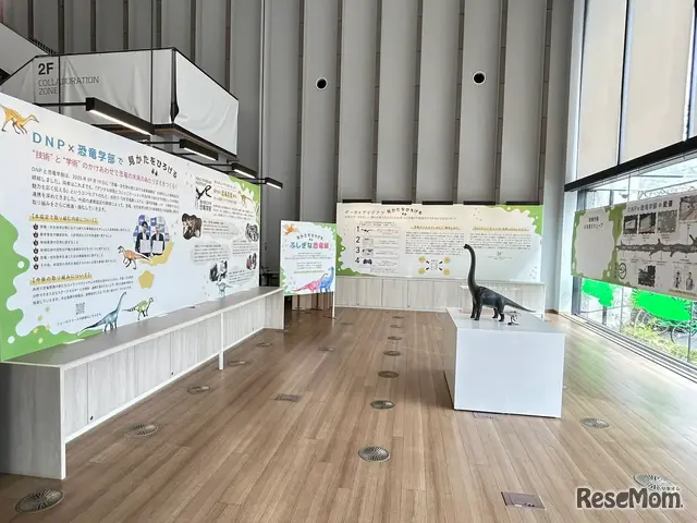 企画展「見かたをひろげる、ふしぎな恐竜展」のようす