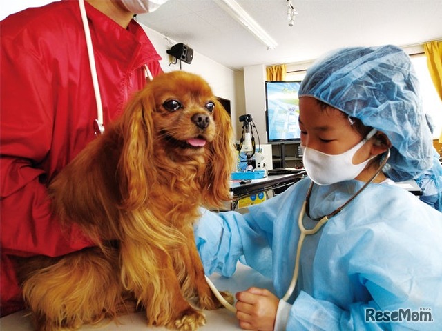 獣医さん体験スクール