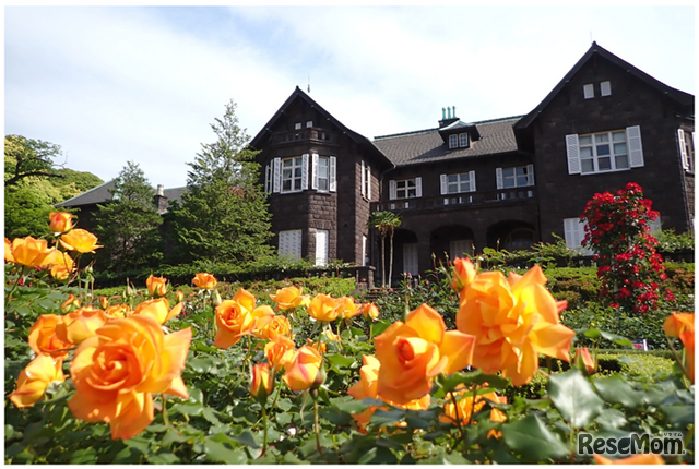 洋館と咲き誇るバラ（前年のようす）