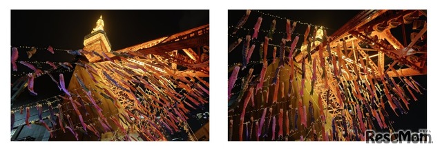 夜には鯉のぼりもライトアップ