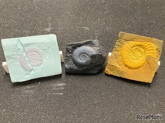 南三陸・化石ラボ～親子で発掘チャレンジ！君も今日から研究者～