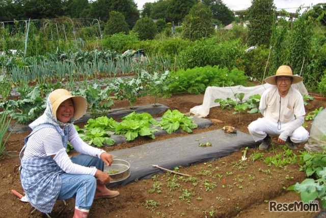 初心者でも安心のサポートが受けられる市民農園も
